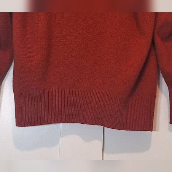 Aritzia Babaton Cashmere 100% Turtleneck Sweater Oversized Burnt Orange Medium - Picture 5 of 12